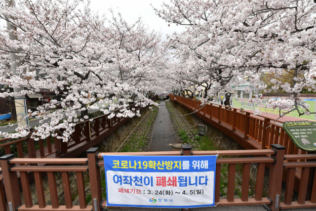 29일 벚꽃 명소인 창원시 진해구 여좌천 일대가 폐쇄돼 한산하다./전강용 기자/