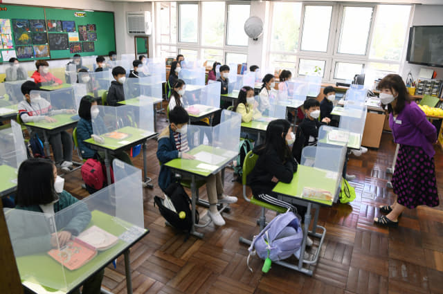 19일 오전 창원시 의창구 용호초등학교 4학년 1반 학생들이 교실에서 수업을 받고 있다. 전교생이 등교한 이날 올해 처음으로 반 학생 모두가 한 교실에 모였다./김승권 기자/