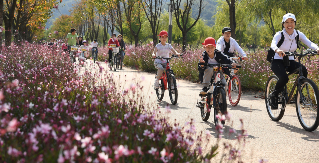 지난 15일 열린 ‘제3회 자전거 투어 창포원 소풍’ 행사 참가자들이 꽃이 만발한 거창 창포원의 가을 정취를 만끽하고 있다./거창군/